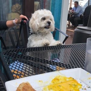 Meet your Posher, Kim